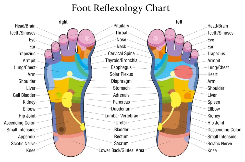 A Step-by-Step Guide to Enjoying Daily Foot Reflexology on a Budget